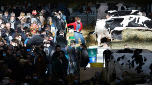 En Francia, los agricultores temen los efectos de la invasión rusa de Ucrania