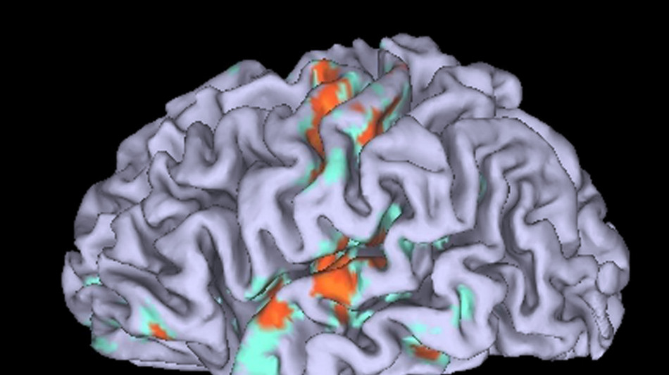 Così il cervello divide la giornata in capitoli