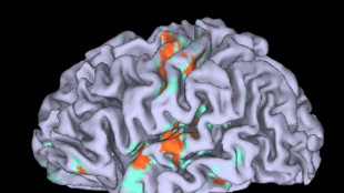 Trovato il circuito cerebrale che collega respiro ed emozioni