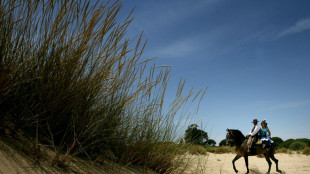 Trial over Spanish ecological disaster starts, 25 years on