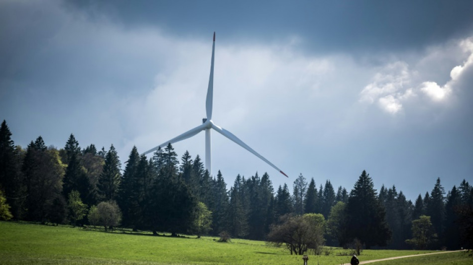 Swiss vote on renewable energy plan for 2050 carbon neutrality