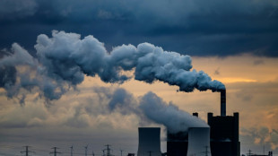 Pace of German emissions cuts slows in 2024: study