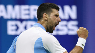 Djokovic zum zehnten Mal im US-Open-Finale