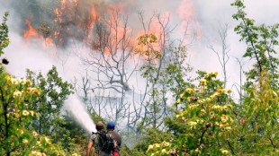 'It's unbearable': heatwaves scorch southern and eastern Europe