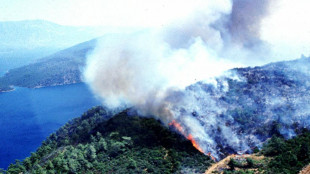 Cinque morti e decine di feriti per gli incendi in Turchia