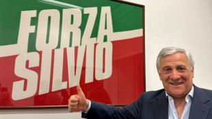 Tajani, alle elezioni politiche puntiamo al 20%