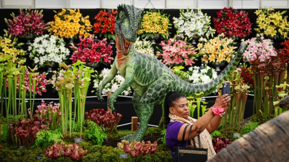 Changing climate influences London's Chelsea Flower Show