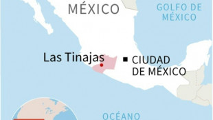 Al menos 19 muertos en tiroteo en el centro de México (fiscalía)