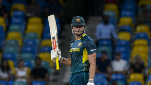 Stoinis sparks Australia fightback against Oman