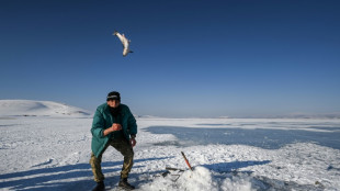 One-horse open sleigh ride across frozen Turkish lake 