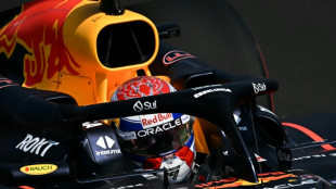 Verstappen quickest in opening F1 Italian GP practice