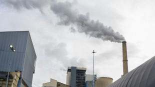 Saint-Avold: à la centrale à charbon, un dernier jour plein d'émotions et d'incertitudes