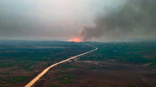 Lluvias en centro de Brasil apagan incendios en mayor humedal del planeta