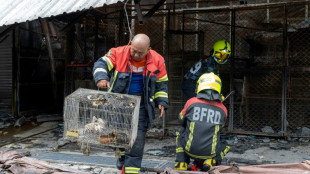 Animals killed as fire rips through Bangkok pet market