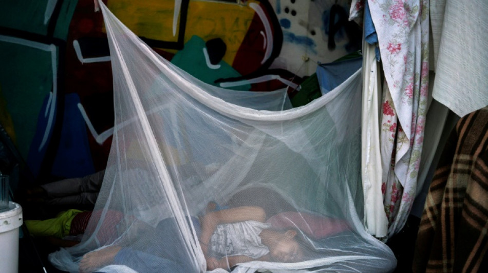 Los casos de dengue y enfermedades transmitidas por mosquitos, en aumento en Europa