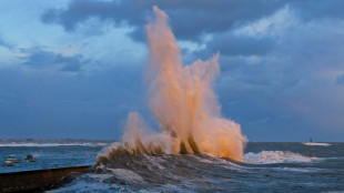 Ten dead as Storm Ciaran batters Western Europe