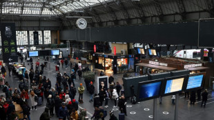 Busy Paris rail station shut after arsonists wreck cables