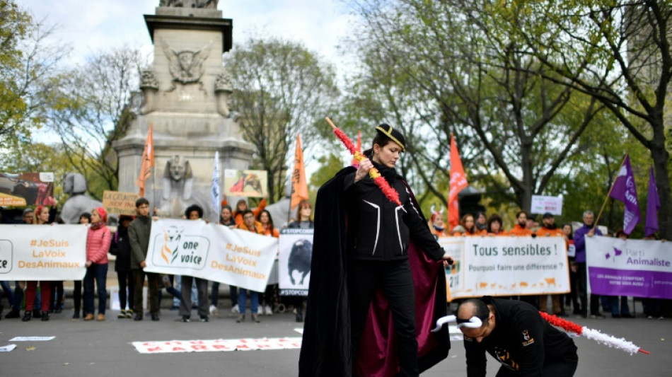 Activistas parodian una corrida de toros para pedir su abolición en Francia