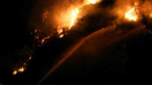 Brésil: incendie de forêt dans le quartier touristique de Copacabana à Rio de Janeiro