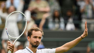 Medwedew im Halbfinale von Wimbledon