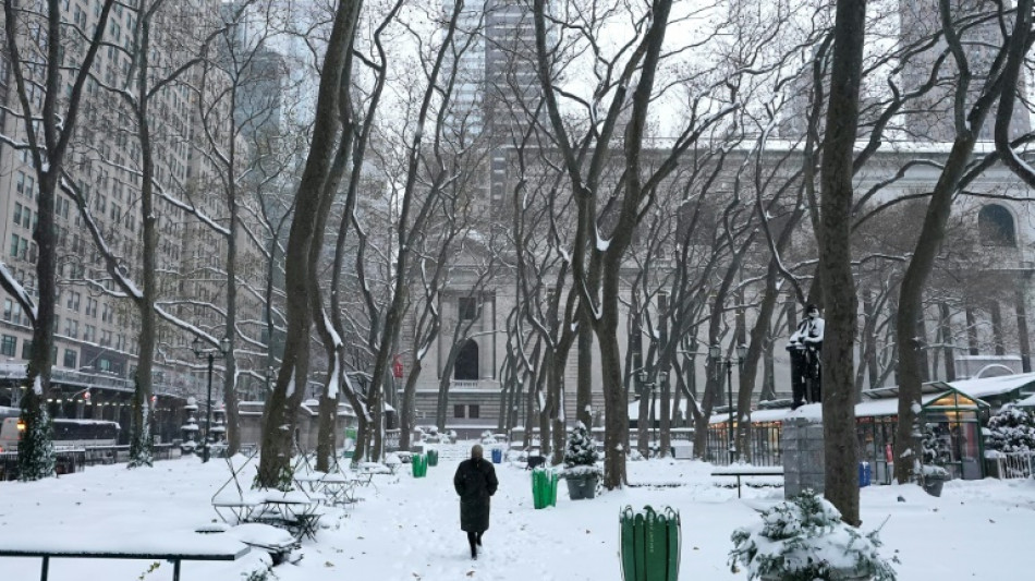 Quand donc tombera la neige, se demandent les New-Yorkais