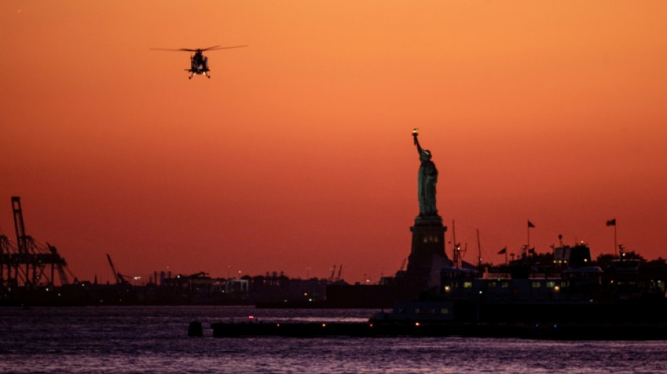 'My apartment vibrates': New Yorkers fight noisy helicopter rides