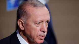 Erdogan says end near for military operation in north Iraq, Syria