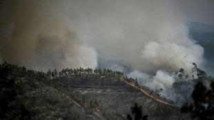 Record heat warning as forest fires rage in Spain and Portugal 