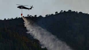 Bogota closes dozens of parks as fires rage in Colombia