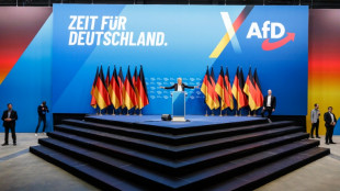 AfD setzt Bundesparteitag in Riesa mit Programmbeschluss fort