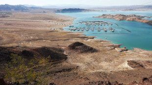 Lake Mead mob murder: Gun found near site of body in barrel