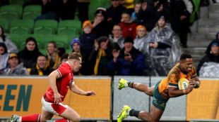 Resurgent Australia pile more misery on Wales with battling win