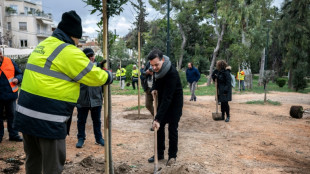 Végétaliser une capitale de béton, le défi du nouveau maire d'Athènes