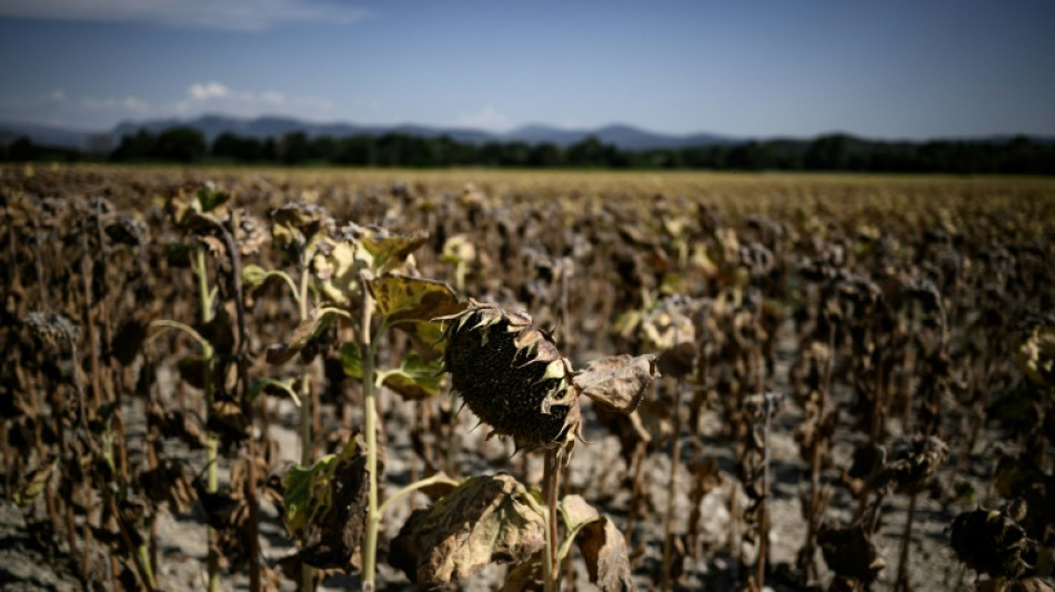 Climat: pour "sonner l'alarme", des chercheurs veulent une accélération des publications climatiques 