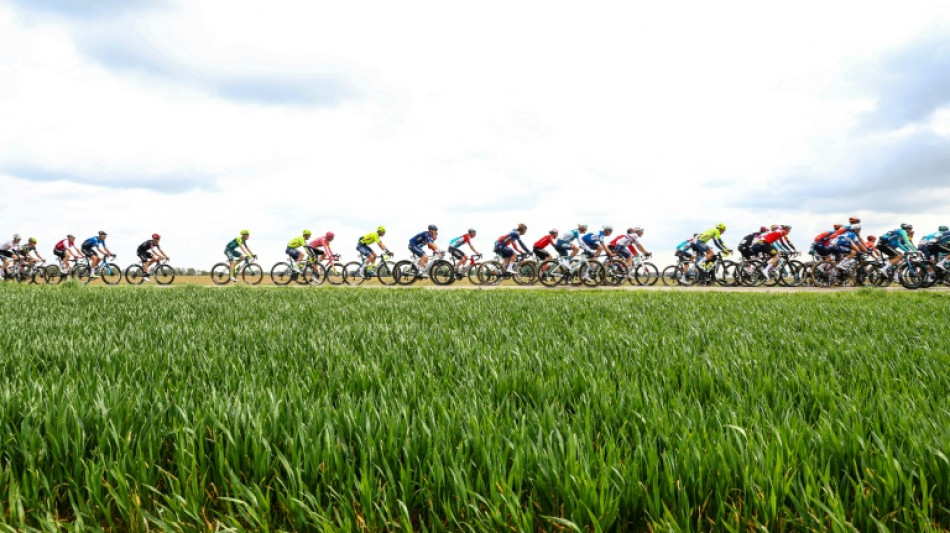 Pidcock sprints to snap up Amstel Gold victory