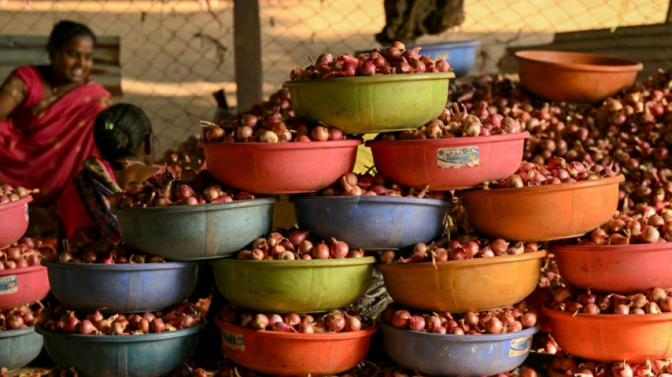 India's onion farmers cry foul at politicians' price recipe