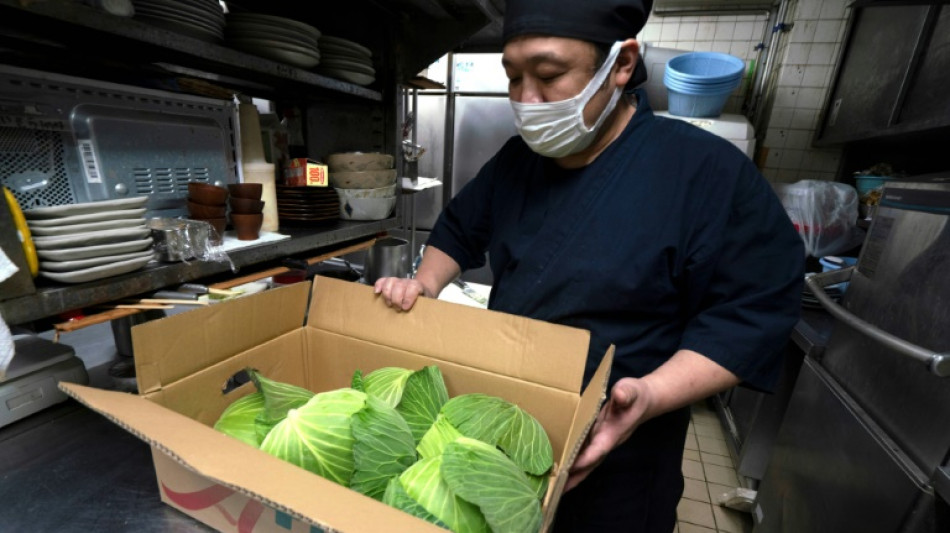 Au Japon, le prix du chou s'envole avec le thermomètre