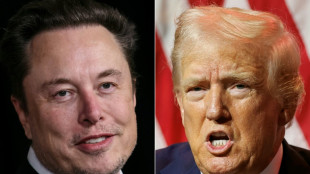 Musk: Interview mit Trump offenbar durch "massiven" Cyberangriff gestört