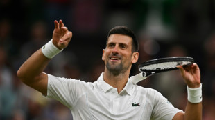 Djokovic gets kick out of England Euros win at Wimbledon