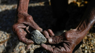 President's push to scrap gold mining ban causes outcry in El Salvador