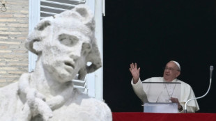 El papa cancela sus audiencias del lunes debido a una "gripe leve"