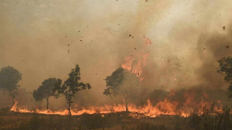 La superficie quemada por los incendios forestales en la UE superó a la de 2021