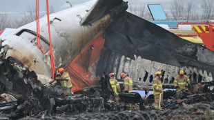 Corea del Sur comienza a entregar los cuerpos de las víctimas del accidente aéreo