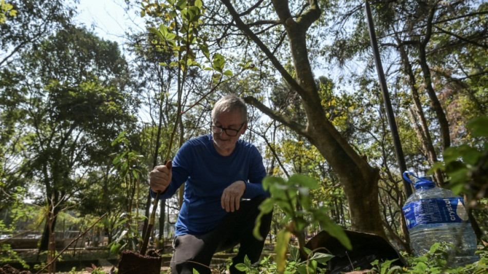 La tarea "quijotesca" de un ejecutivo brasileño para reverdecer al gris Sao Paulo