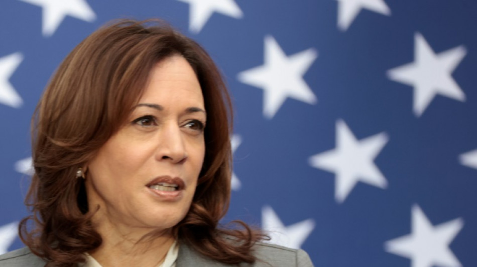 US VP Harris to attend Ukraine summit as Biden skips