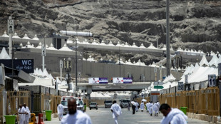 Pilgrims scale Mount Arafat for climax of biggest Covid-era hajj