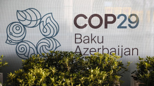 Cop29, 300 milioni nel 2024 per il fondo per l'adattamento