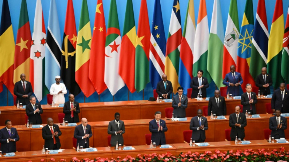 Key pledges on sidelines of China-Africa summit
