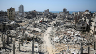 'Unlike anything we have studied': Gaza's destruction in numbers