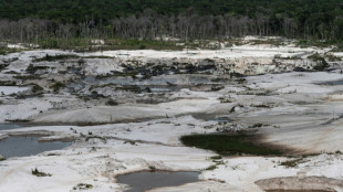 Confrontos entre militares e garimpeiros deixam dois mortos na Amazônia venezuelana